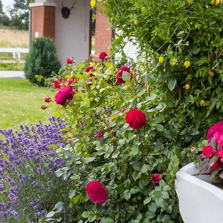 Storczykowe Wzgorze *