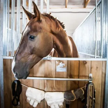 Séjour à la ferme Storczykowe Wzgorze