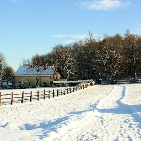 Storczykowe Wzgorze