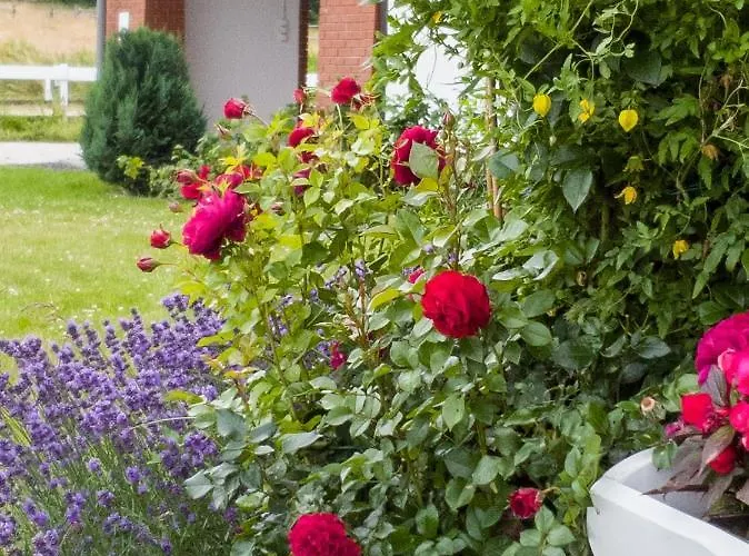 Storczykowe Wzgorze *