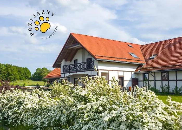 Storczykowe Wzgorze * Paszowice