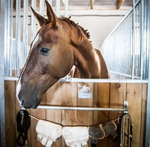 مزرعة للإقامة Storczykowe Wzgorze