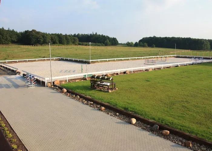 Storczykowe Wzgorze Farma *